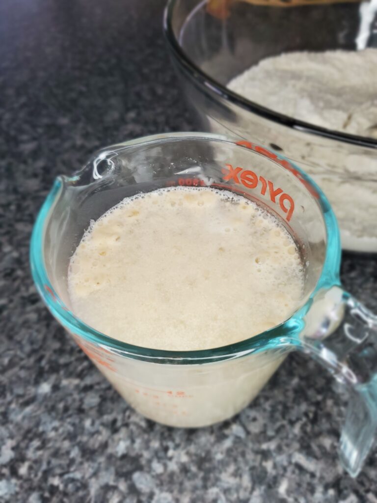 warm water, yeast, and sugar begin to foam