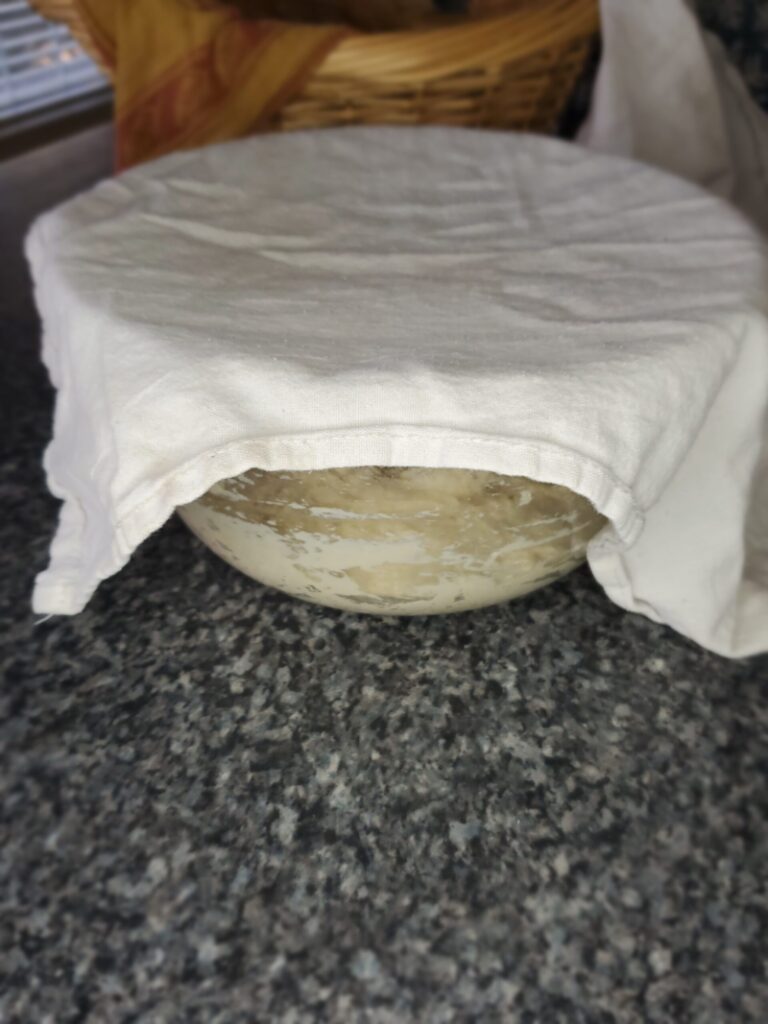bread dough rising in covered bowl