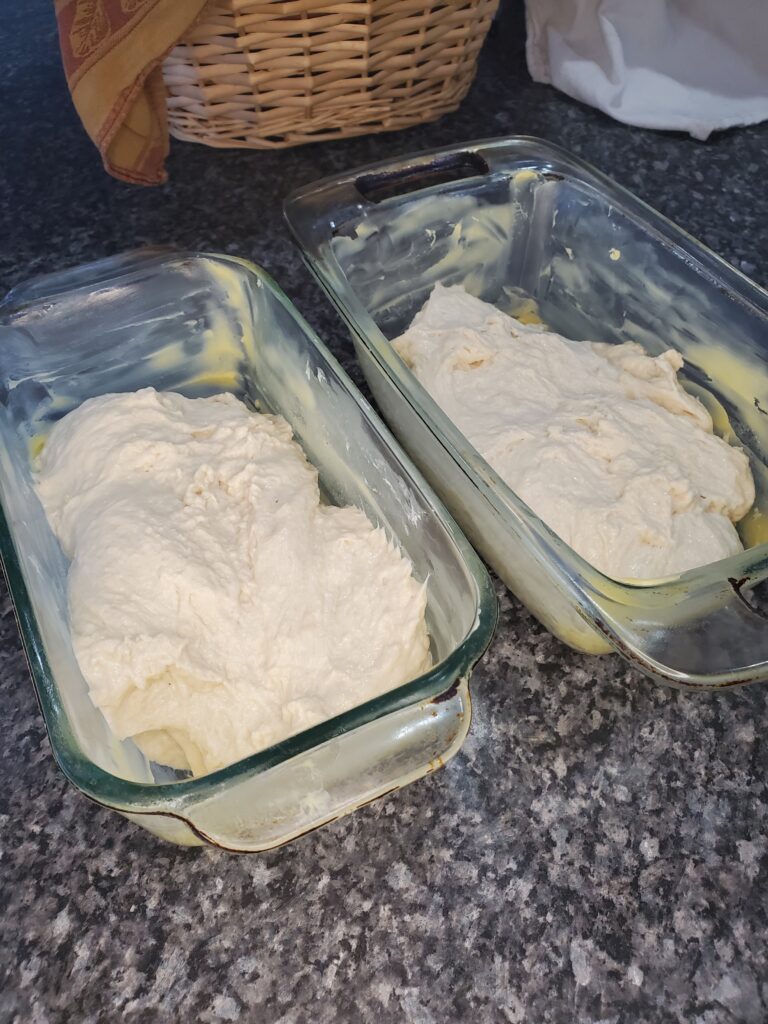 bread dough divided evenly between two greased bread pans